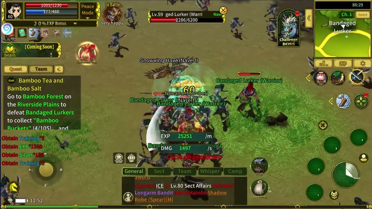 Good Quest Level 55-59 G2 Bamboo Forest Ruler of The Land YULGANG (Mobile)