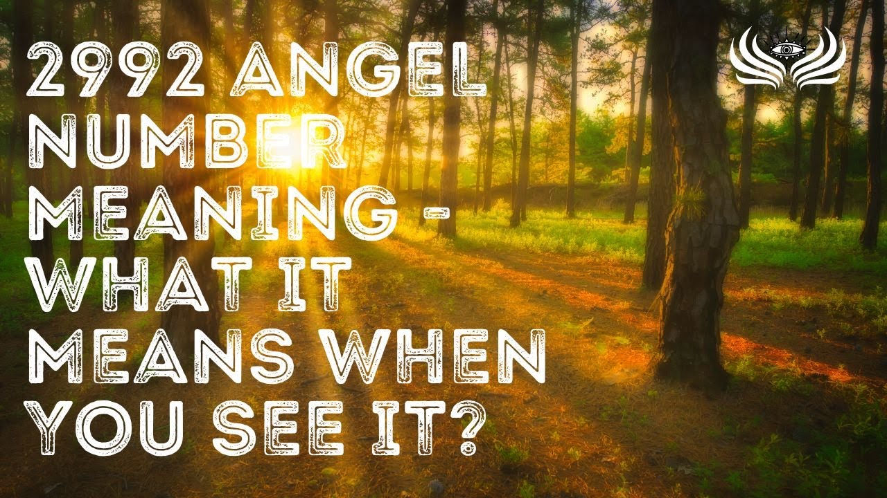 2992 Angel Number Meaning 🌠 What It Means When You See It?