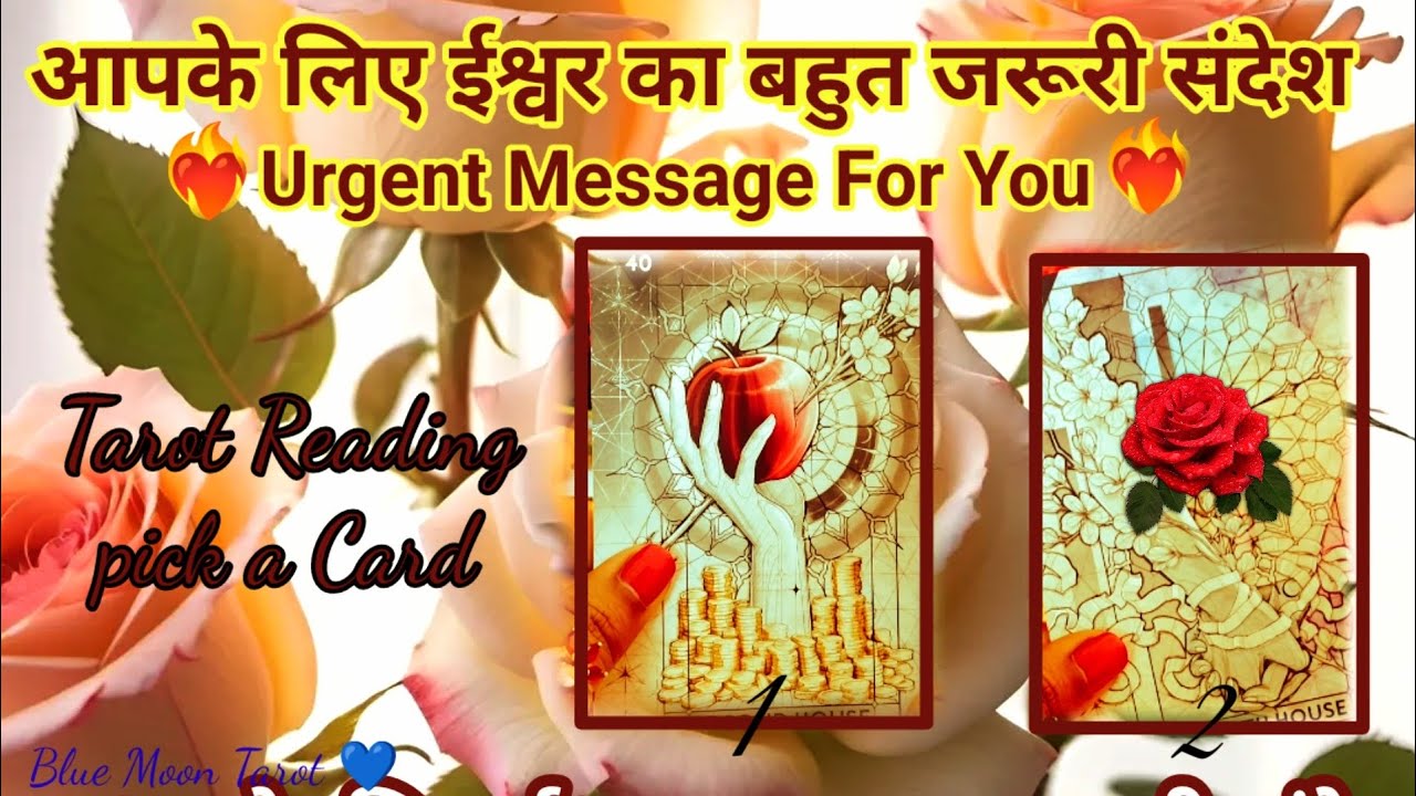 🪔GOOD NEWS JALD MILEGI 💯 BLESSING 😍 URGENT DIVINE MESSAGE | TAROT READING  #urgentmessagefromgod 