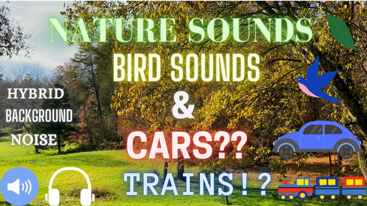 Relaxing Hybrid Background Noises - Birds, Leaves, Cars, & Trains