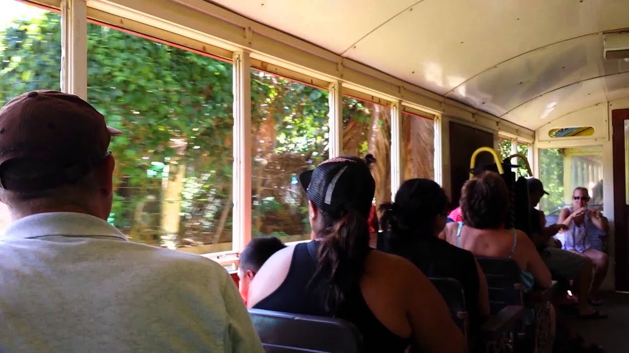Sugar Cane Train ON BOARD Puukolii to Lahaina
