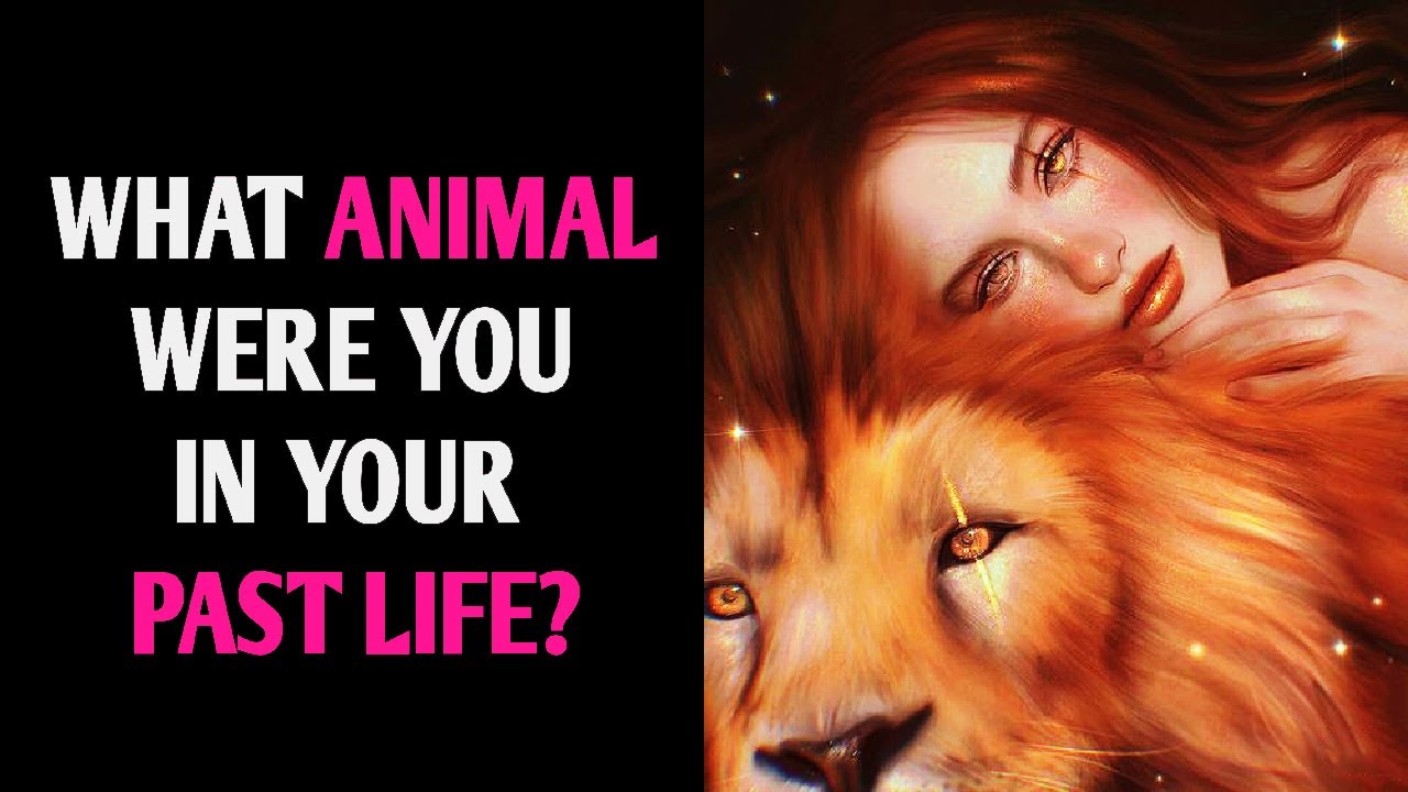 WHAT ANIMAL WERE YOU IN YOUR PAST LIFE? Personality Test Quiz - 1 Million Tests
