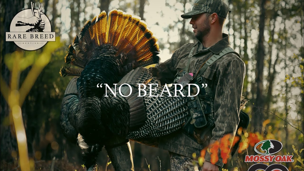 Alabama Turkey Hunting 2022 • “NO BEARD”