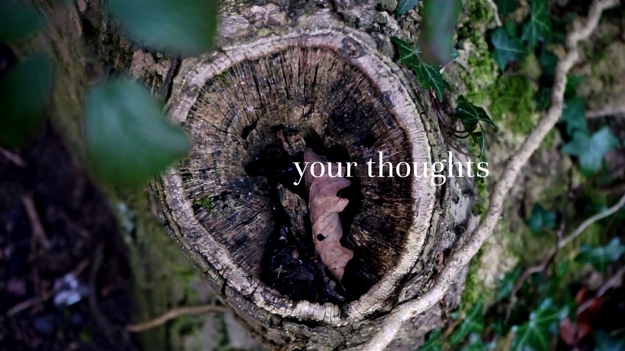 Golden Fable - Hold True [Lyric Video]