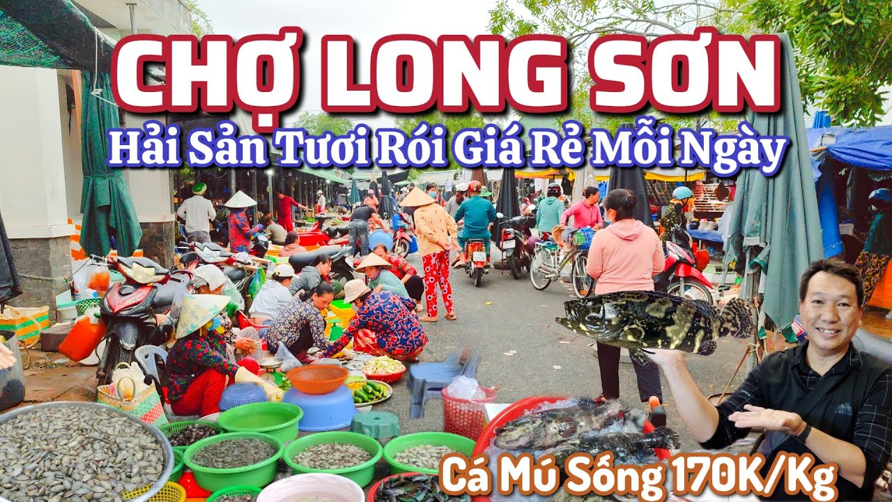 Chợ Long Sơn Vũng Tàu - Hải Sản Tươi Rói Giá Rẻ Mỗi Ngày, Cá Mú Sống 170k/Kg.