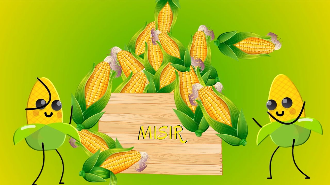 Aysuda Ülkü Zeren - Mısır | Okul Öncesi Şarkıları