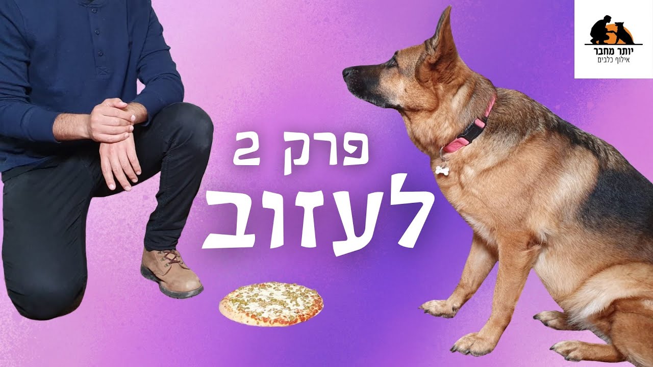 איך ללמד כלב לעזוב אוכל מהרצפה | פרק 2/3