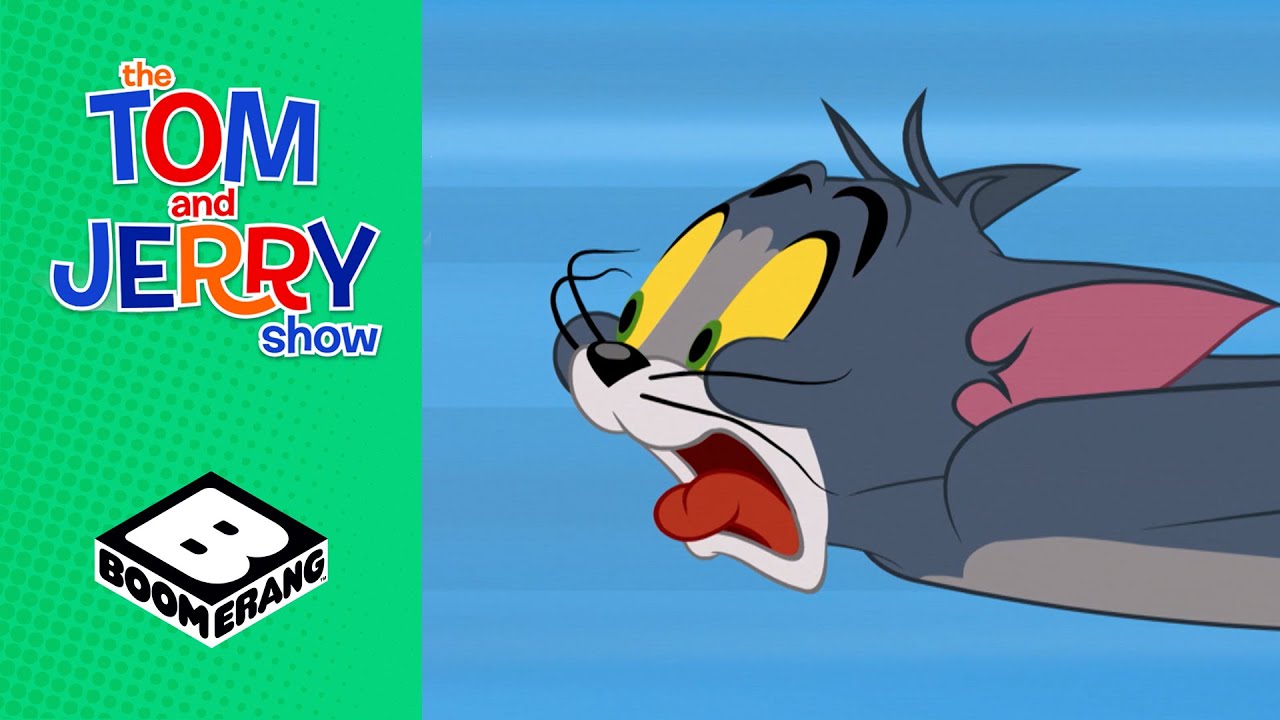 Tom & Jerry | Field Trip | Boomerang UK