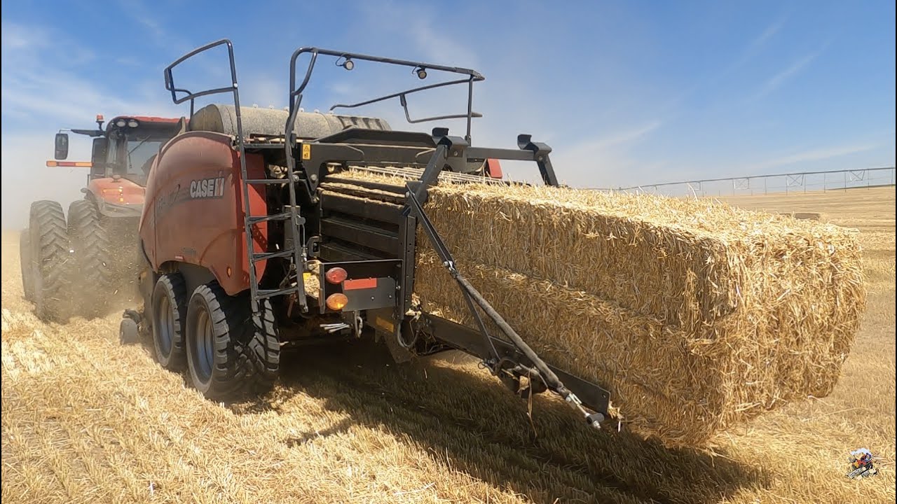 Baling and Stacking Barley Straw in Idaho