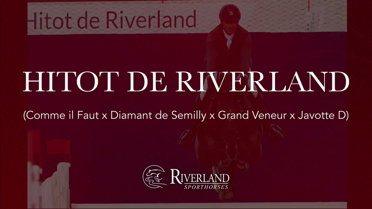 HITOT DE RIVERLAND - RIVERLAND STALLIONS 2026
