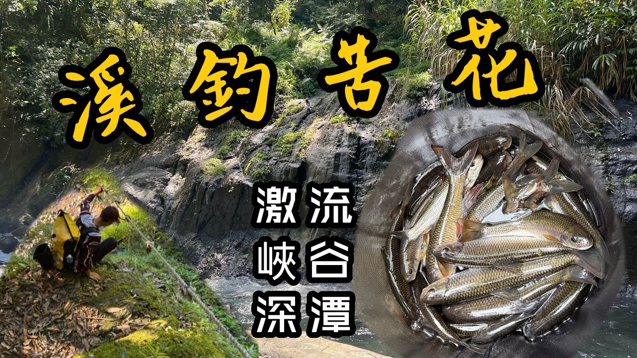 【溪釣19】福山仙境/來到苦花的故鄉/清澈到爆的溪流/激流/峽谷/深潭