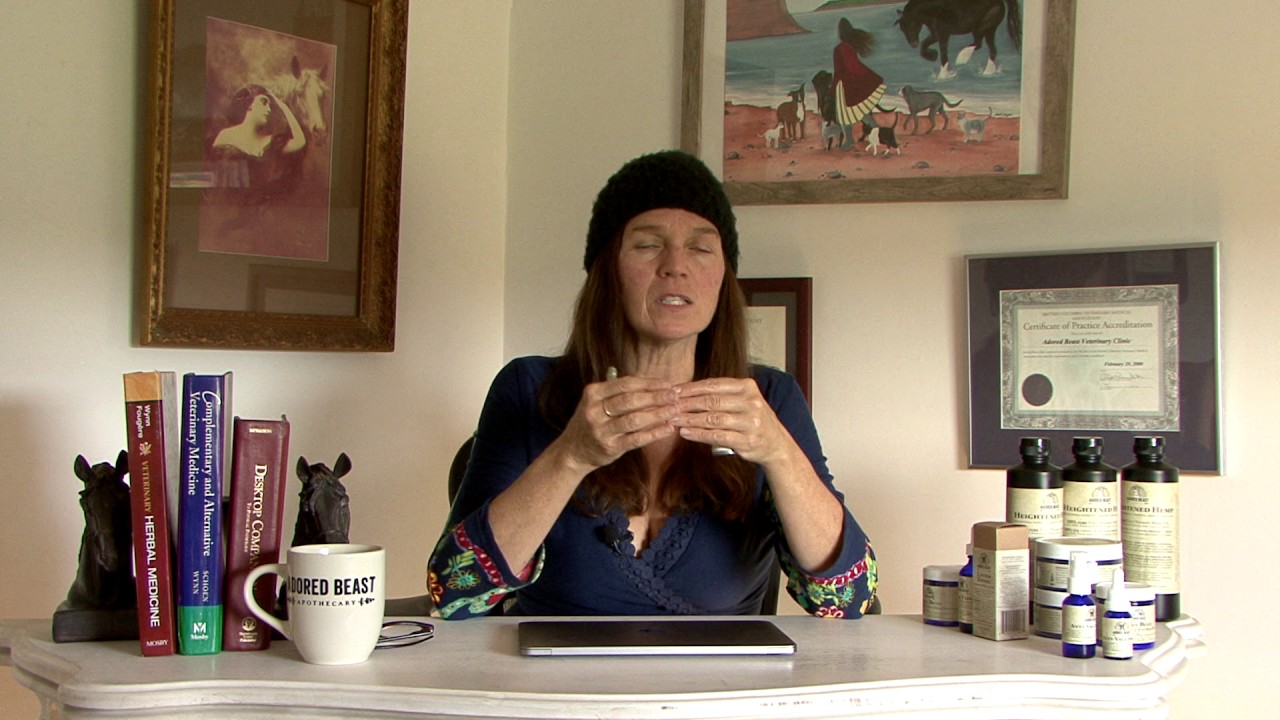 Julie Anne Lee - Phyto Synergy