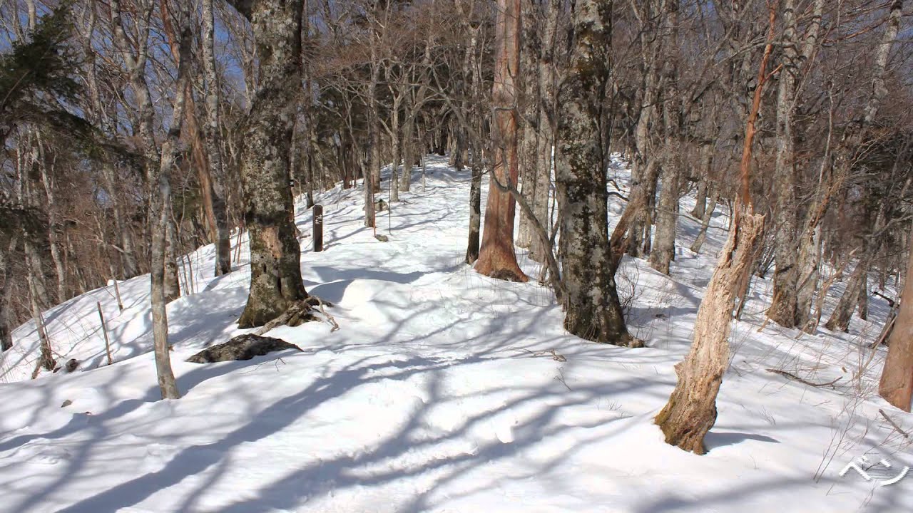 和佐又口&rarr;沢道コース&rarr;和佐又ヒュッテ&rarr;和佐又山　2014年2月23日（日）快晴