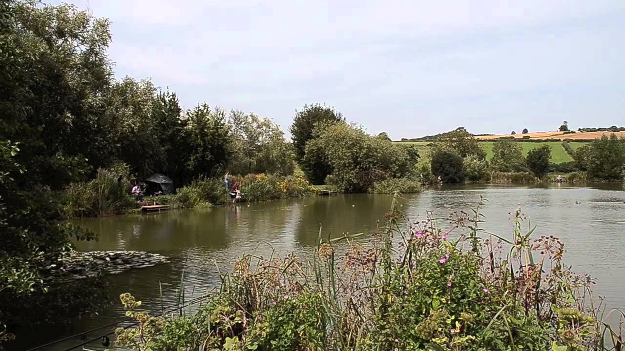 VIADUCT FISHERY, SOMERTON, SOMERSET