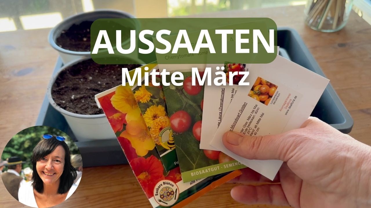 Meine Aussaaten Mitte März 2026 + Anzucht Update