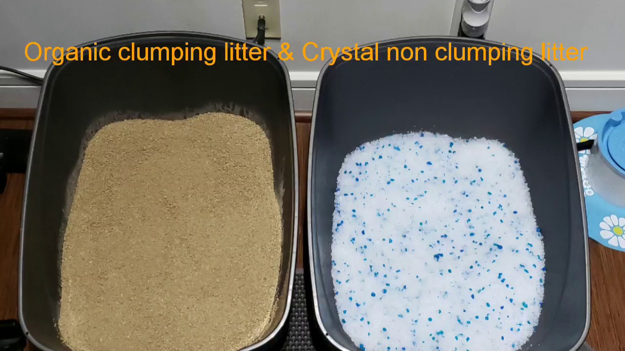 Changing the cat litter to an Organic clumping litter and Crystal non clumping litter