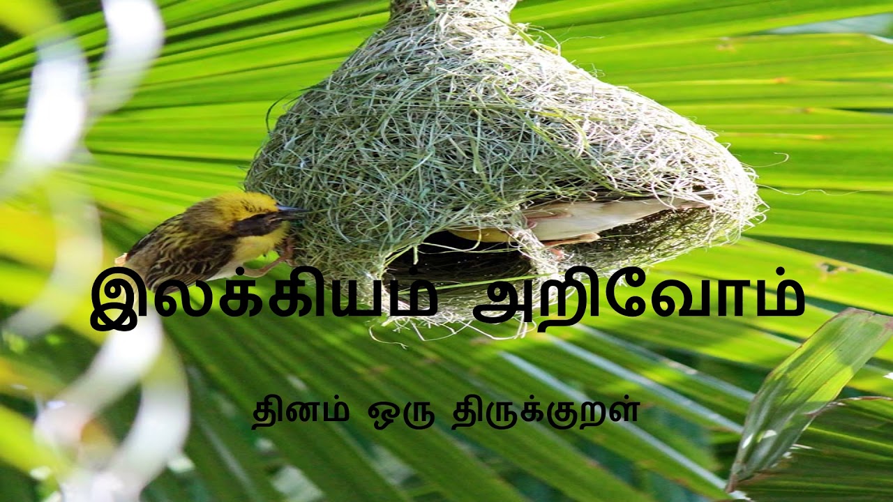 இலக்கியம் அறிவோம்/தினம் ஒரு திருக்குறள்/நீத்தார் பெருமை 7/Ilakkiyam arivom/Dinam oru thirukkural