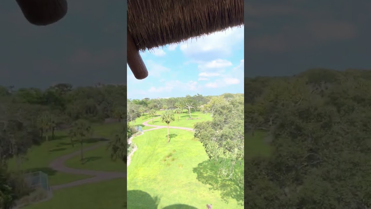 Disney's Animal Kingdom Lodge Jambo House 3-Bedroom Villa Walkthrough