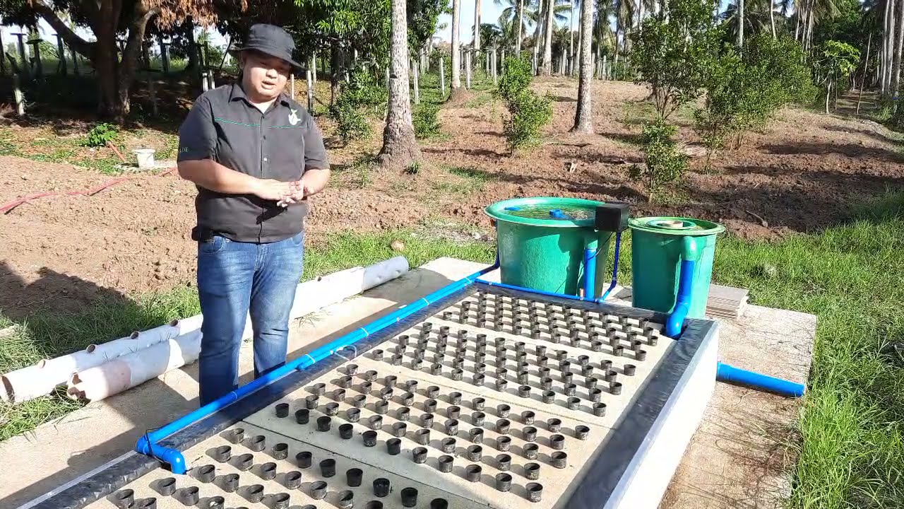 Mini DWC Aquaponics system by MADE