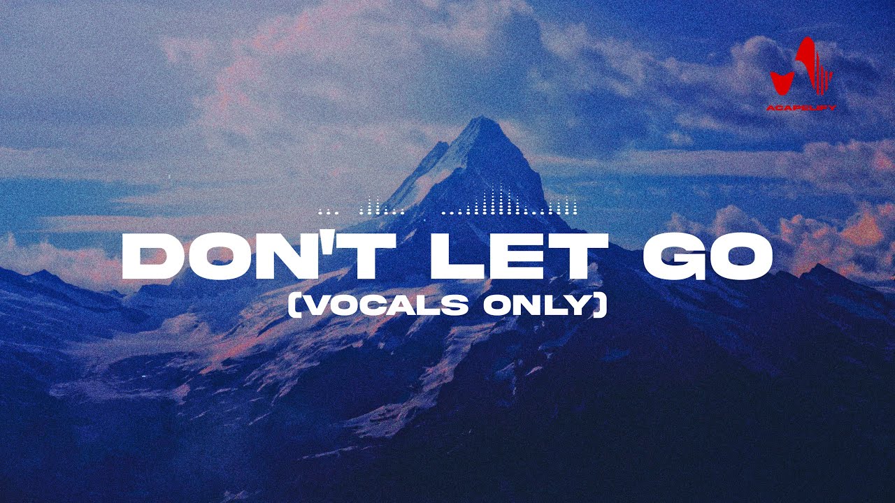 Vocals Only Background Nasheed - Don't Let Go by Acapelify