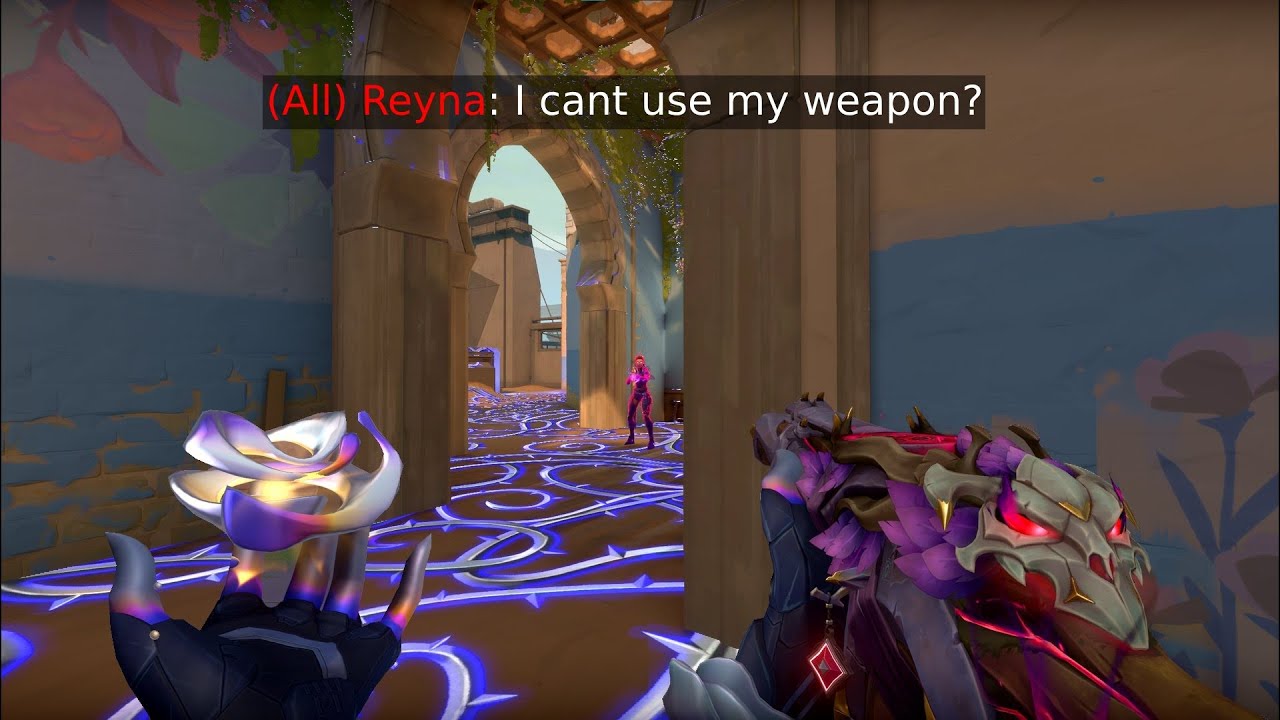 WHAT HAPPENS WHEN A YORU MAIN TRIES OUT VYSE?
