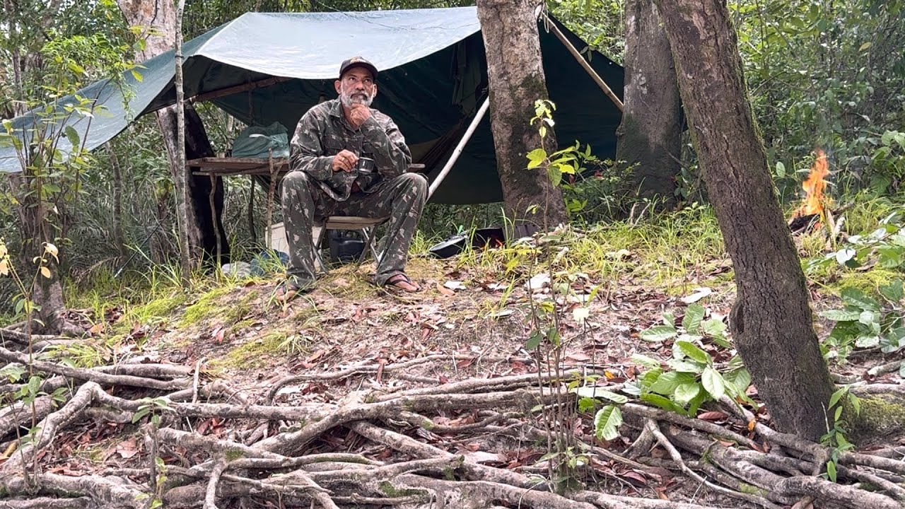 🏕️ACAPEI NA ILHA DAS BROMELHAS FIZ uma pesquisa sensacional 