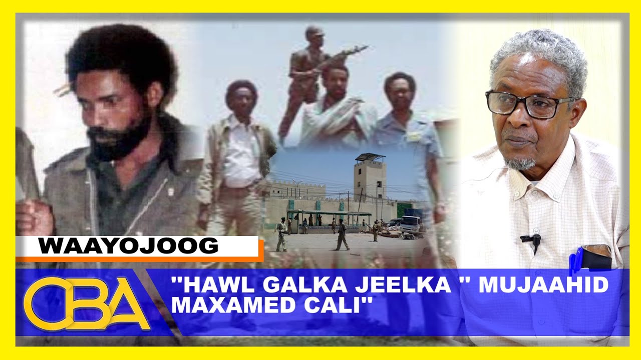 Waayojoog : Halgamaa Cabdiraxmaan Maqosle Q-6aad-Jabintii Mandheera 1988 Halgamaa Maxamed Cali
