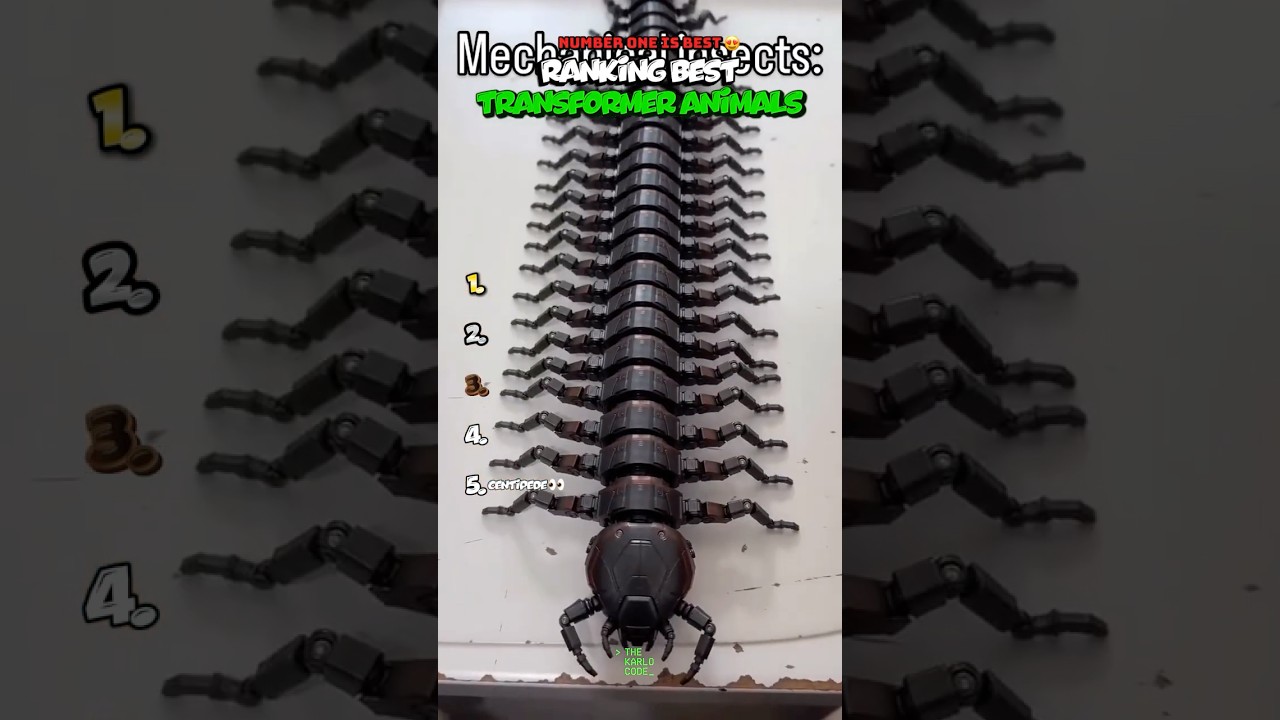 RANKING BEST TRANSFORMER ANIMALS