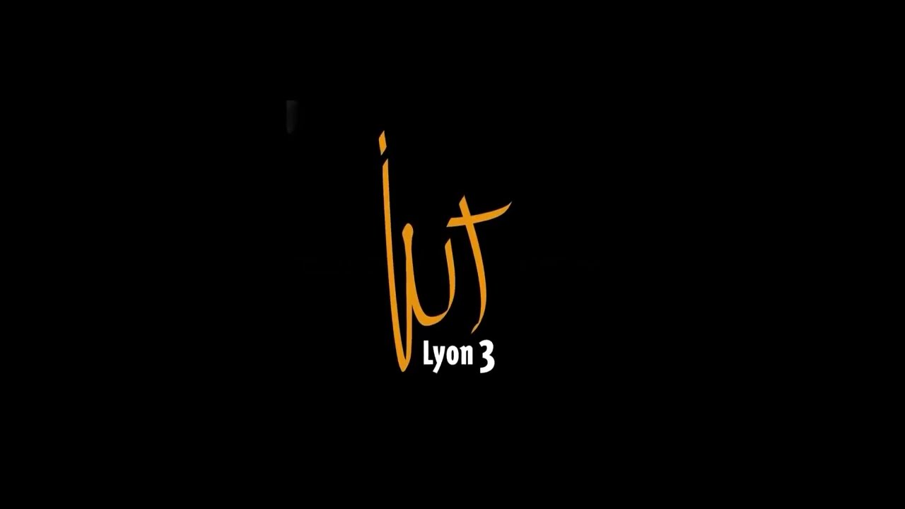 Les passerelles en BUT 3 et licence professionnelle - IUT Jean Moulin Lyon 3