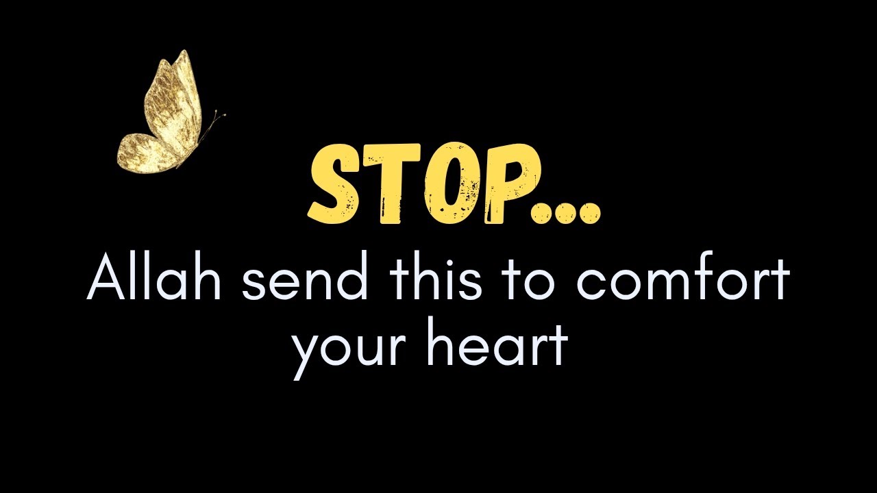 Stop — Allah Sent This to Comfort Your Heart