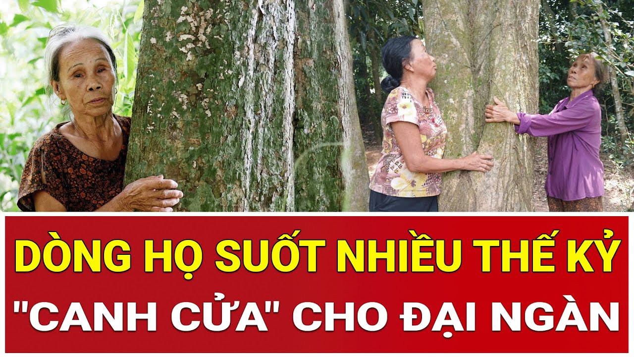 Bí ẩn dòng họ suốt nhiều thế kỷ không rời nửa bước để 