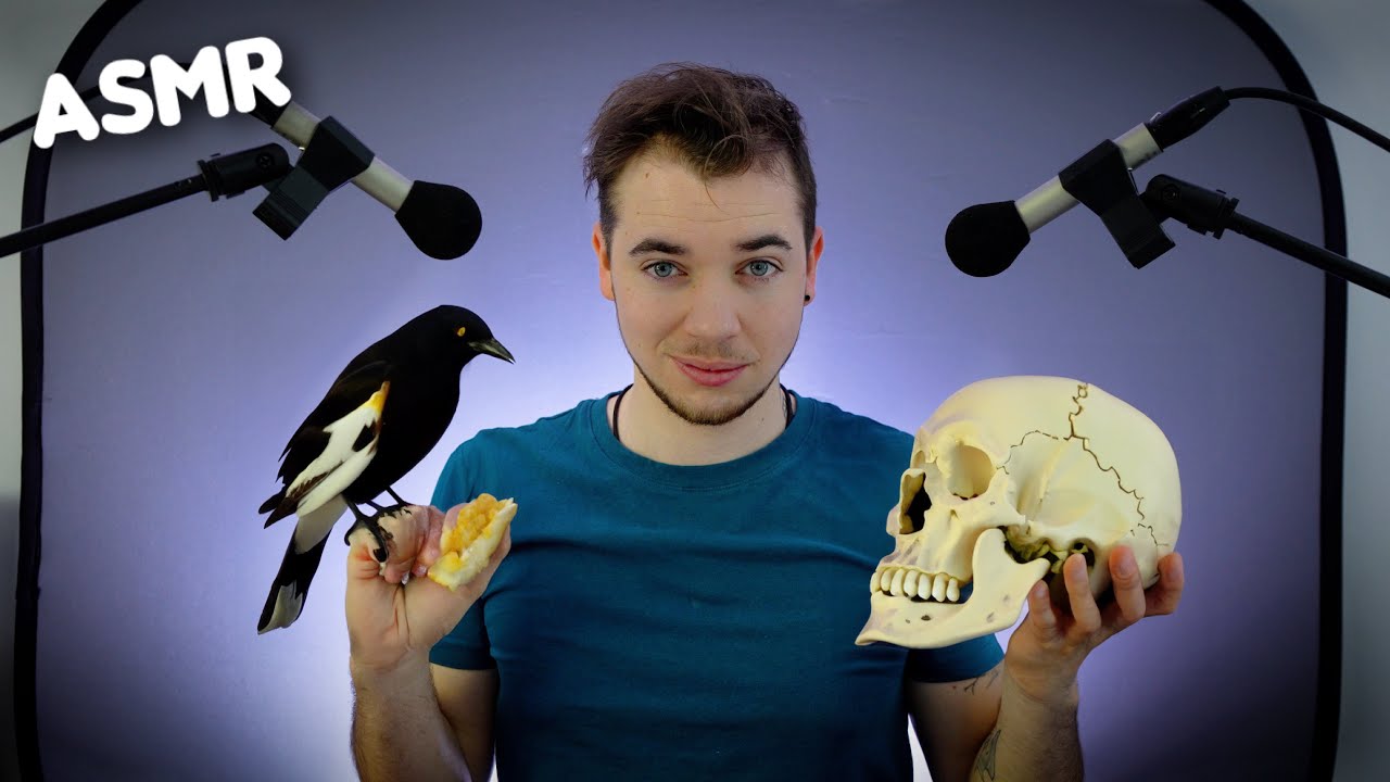ASMR : CETTE VIDEO À LE PIRE MONTAGE VIDEO ! 🤢