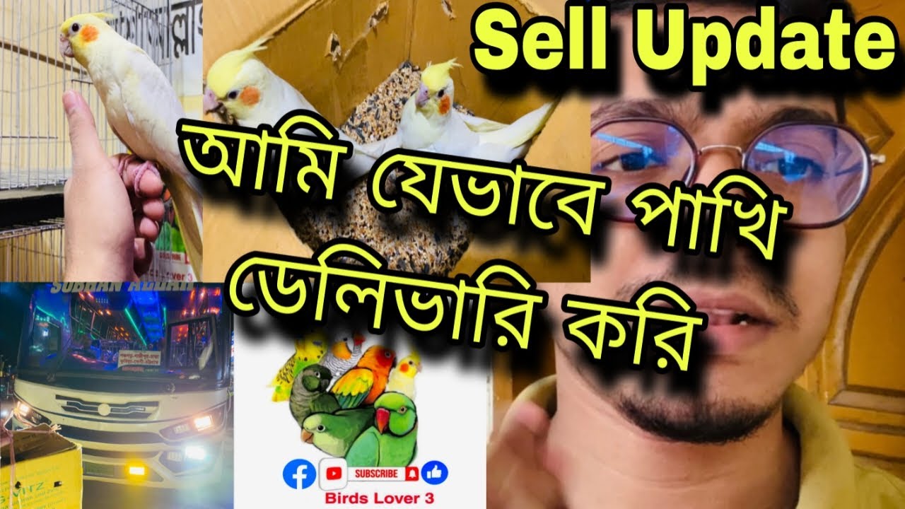 যেভাবে আমরা সারা বাংলাদেশে পাখি ডেলিভারি করে থাকি | বাড়ির ছাদে ককাটেল পাখির খামার পদ্ধতি