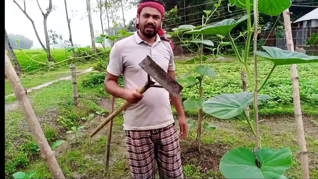 অসাধারণ ঘাস নিড়ানী যন্ত্র | আগাছা পরিষ্কারক মেশিন | কৃষি প্রযুক্তি | Roza Agro