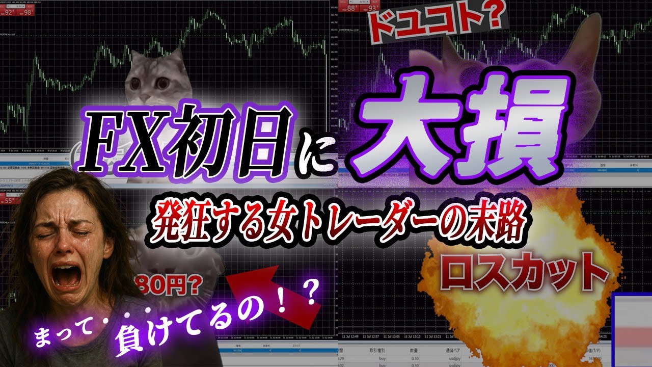 【メシウマ注意】億トレを目指してFXに挑戦！！速攻で大損 www発狂する女トレーダーの末路【ゆっくり実況】