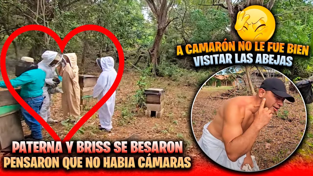 Miren como captamos a Briss y a Paterna. Camarón no se puso el traje y lo picaron todo