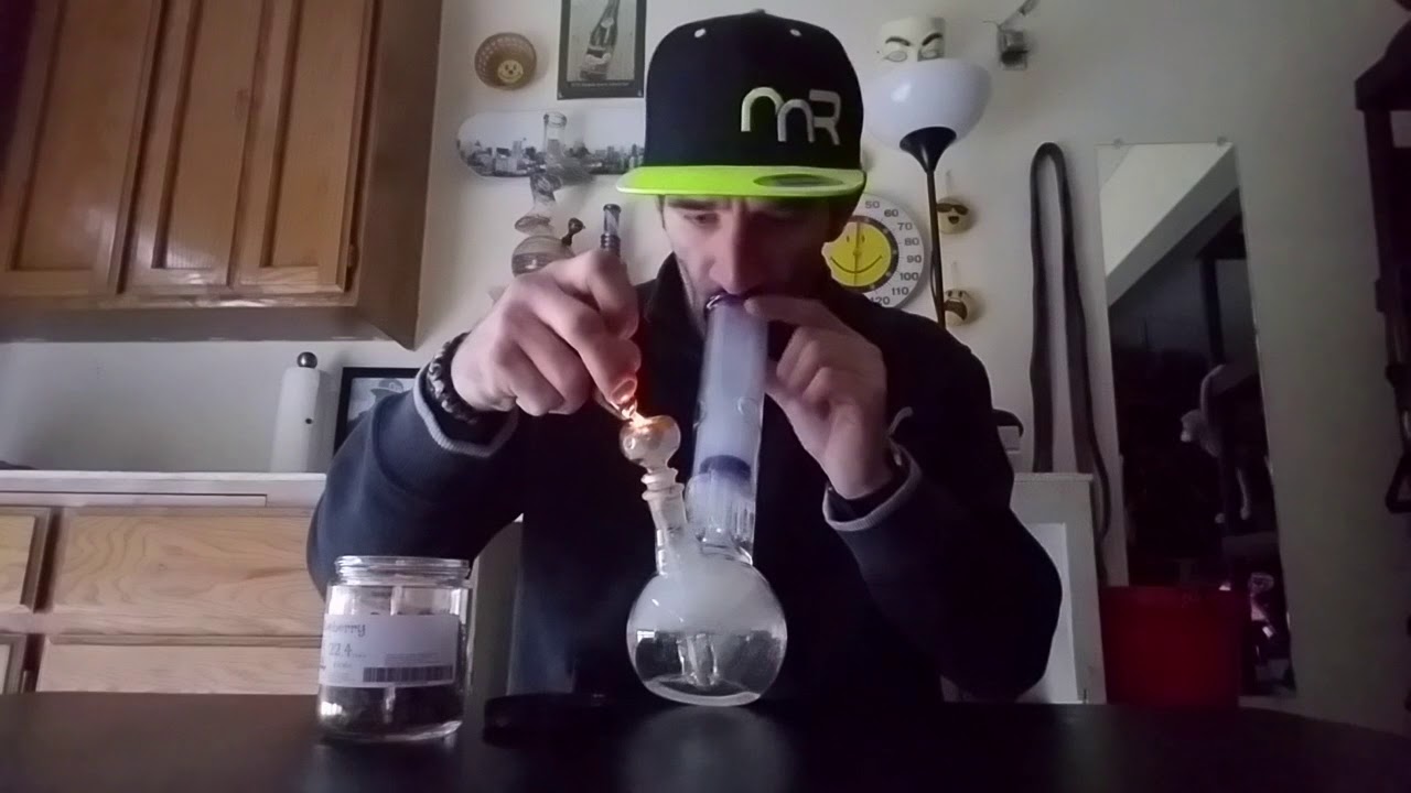 (( NEW )) STRAIN REVIEW DJ SHORT BLUEBERRY