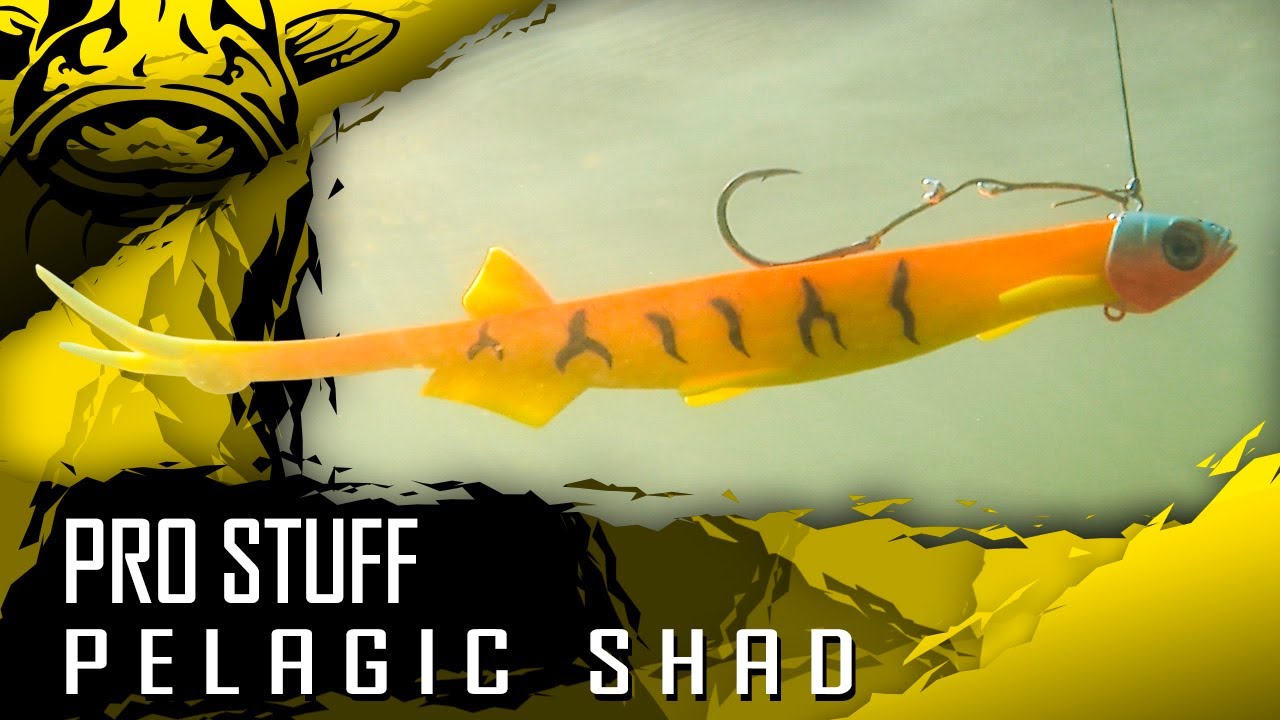 PRO STUFF - Black Cat | Pelagic Shad | Wallerk&ouml;der