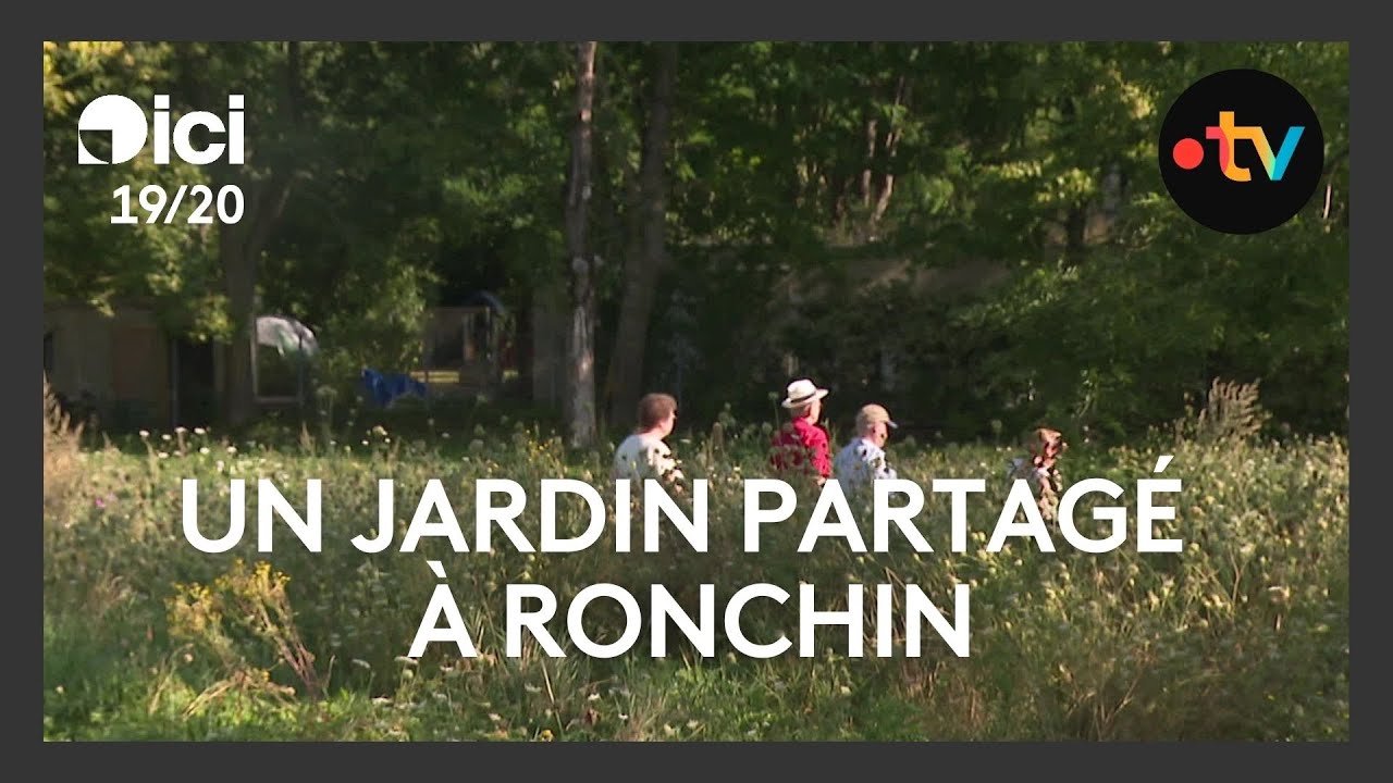 Solidarité : les jardins partagés du Grand Cerf à Ronchin cultivent l'autonomie alimentaire