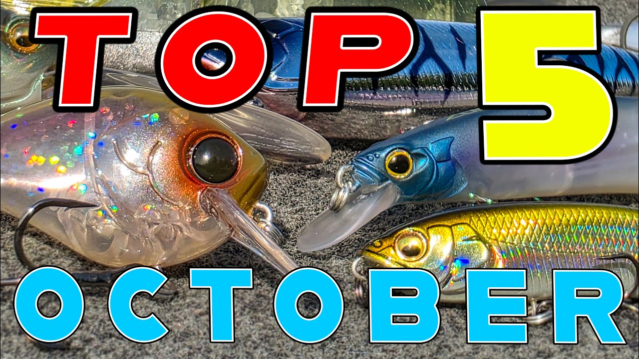 Top 5 Baits For October Bass Fishing!