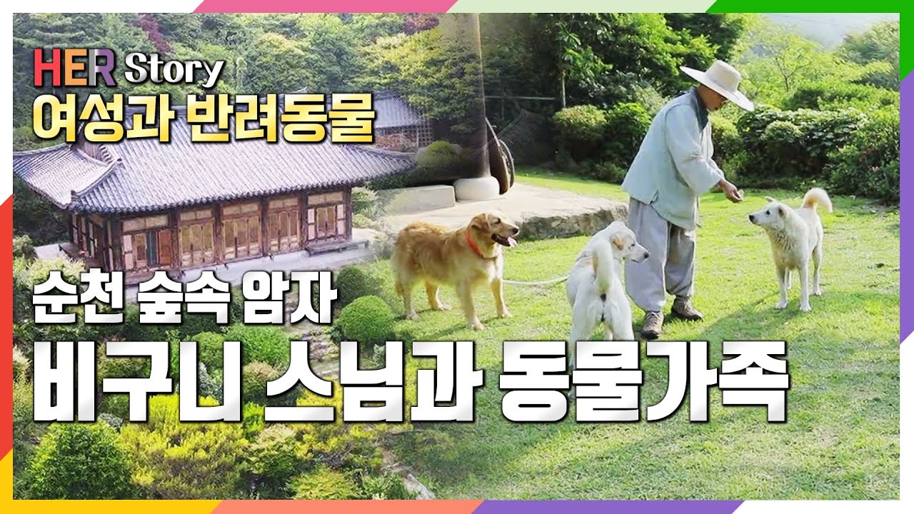 [방송 하이라이트] 산속 비구니 스님과 8마리 친구들 (KBS 20220724 방송)