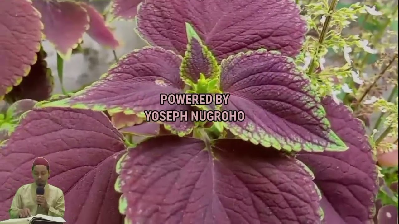 УШБУ СУРАНИ ХАР КУНИ УҚИНГ ЁКИ ЭШИТИНГ Кучли дуо, суралар