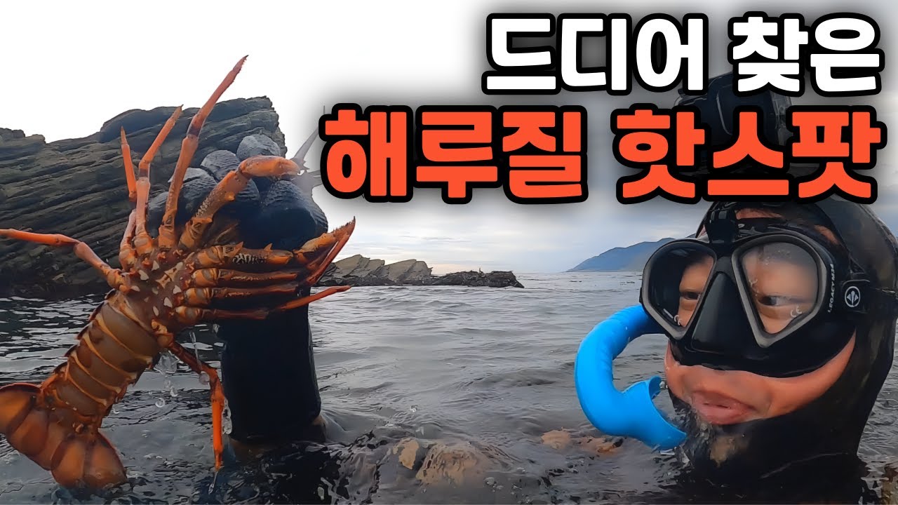 전복과 크레이피쉬가 넘쳐나는 뉴질랜드 시골 바다에서의 해루질