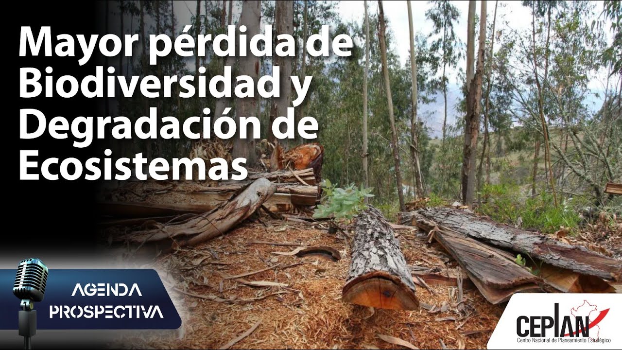Mayor pérdida de biodiversidad y degradación de ecosistemas | 🎙 Ep. 21 | Agenda Prospectiva