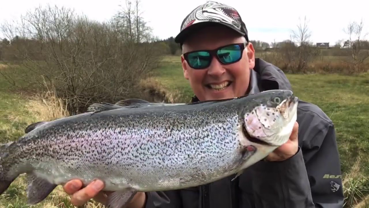 Forår i ørredsøen