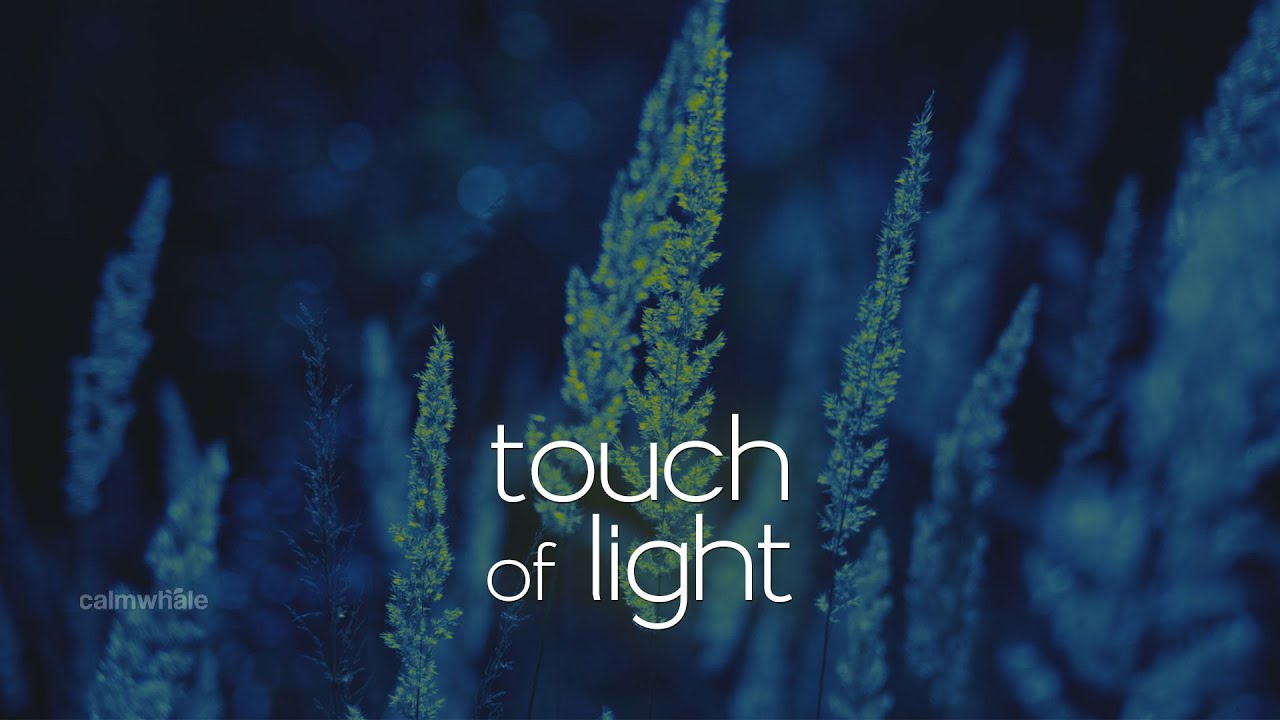 Frequency of the Light :: Handpan, Udu and RaV :: Soft Touch of Light | Calm Whale