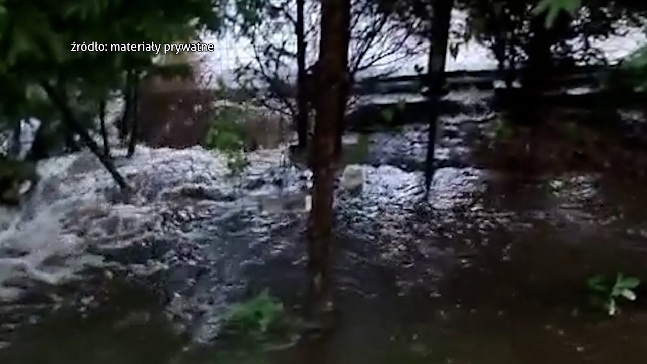 Pow&oacute;dź na podw&oacute;rku 06.07.2022