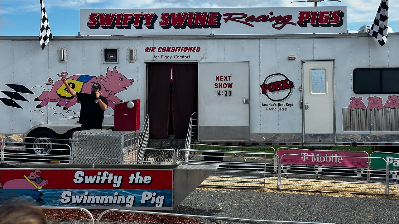 2024 |SWIFTY SWINE Racing 🐖🐷 | Life’s Little Joyz |#racing #pig #animals #fun  #entertainment