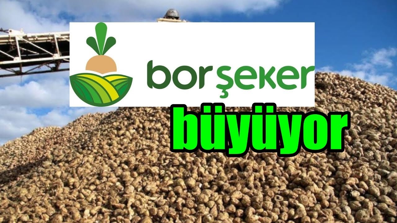 Bor Şeker büyüyor #borsk