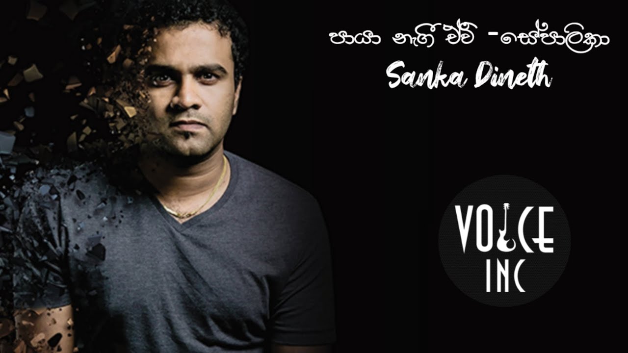| Paya Nagee Aevi(Sepalika) | පායා නැගී ඒවි(සේපාලිකා) | Voice Of Sanka Dineth | @ Voice Inc | Covers